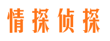 稻城侦探公司